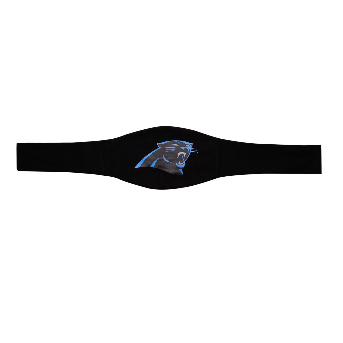 Carolina Panthers WWE Legacy Title Belt - WWE BELTS