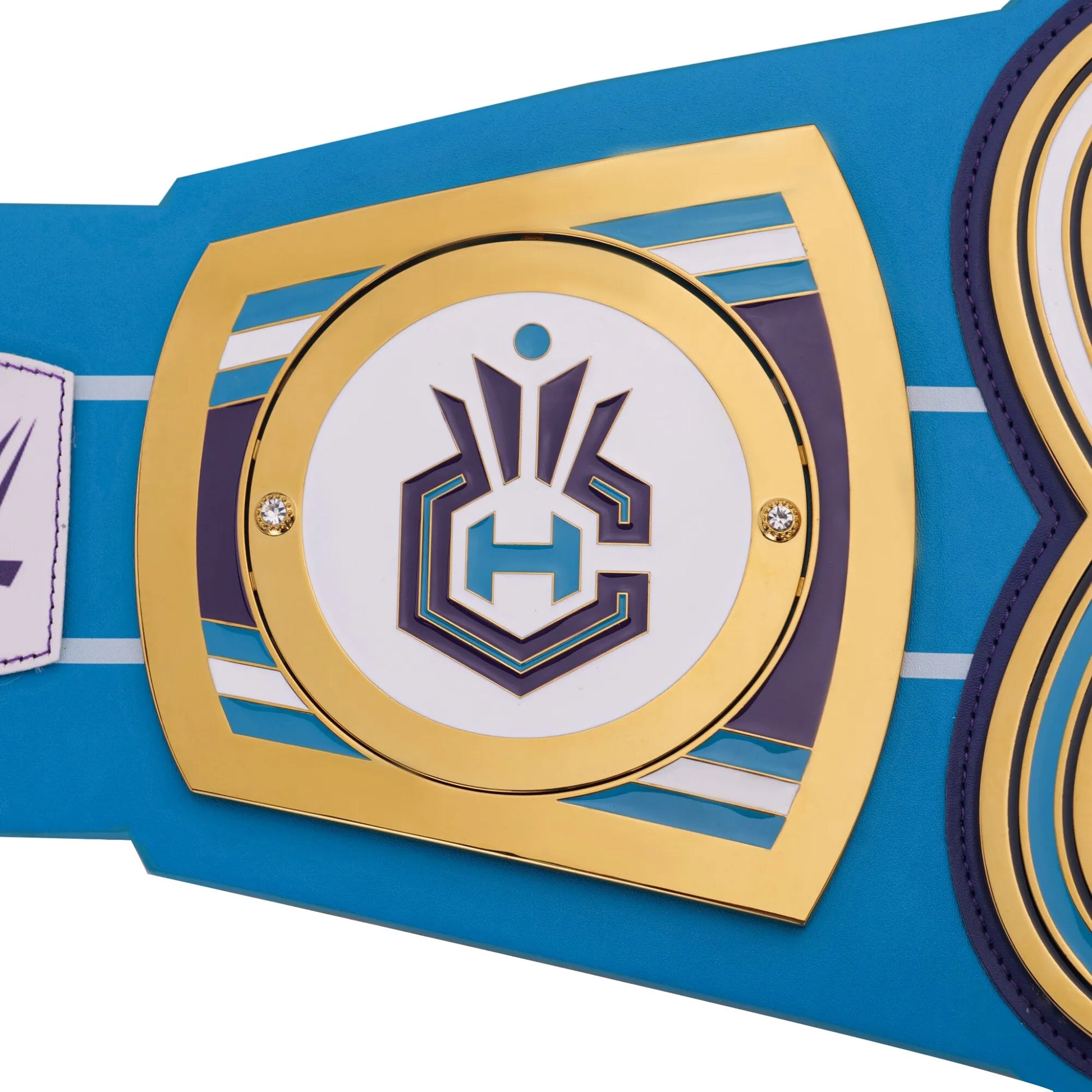 Charlotte Hornets WWE Legacy Title Belt - WWE BELTS